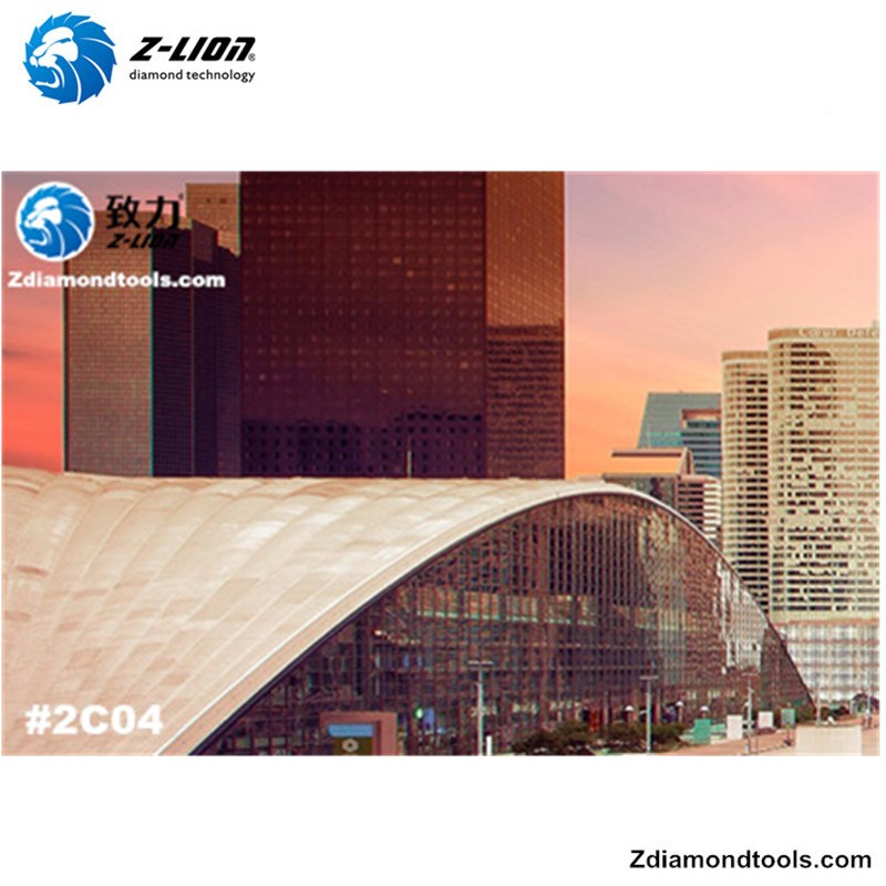 2019 10. čínská výstava leštění povrchů # Z-LION DIAMOND TOOLS